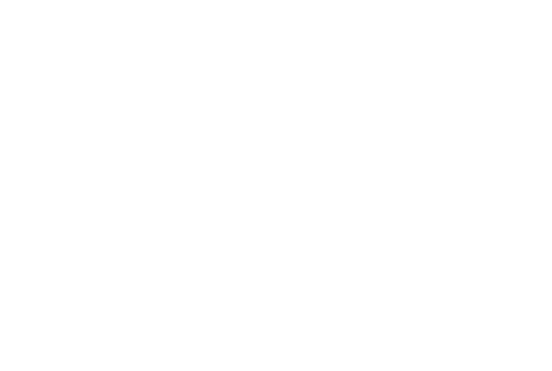 Logo Málaga Transfer VIP